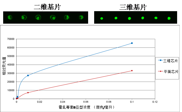 p2.png